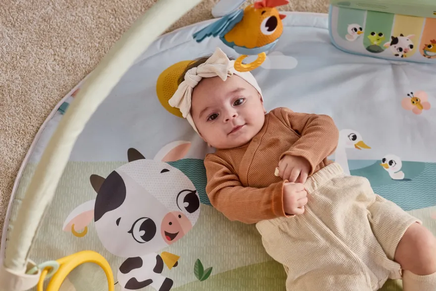 Tiny Love Farmers Babygym