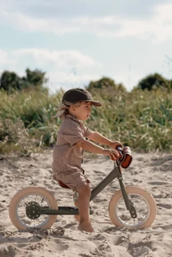 Tribike Springcykel 2 Hjul - Vintage Grön