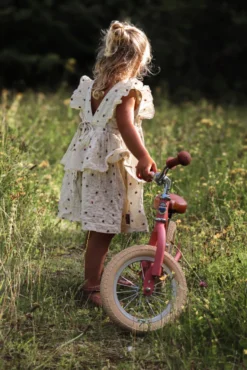 Tribike Springcykel 2 Hjul - Vintage Rose