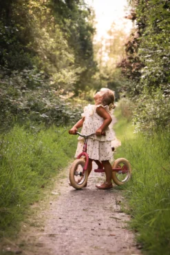 Tribike Springcykel 2 Hjul - Vintage Rose